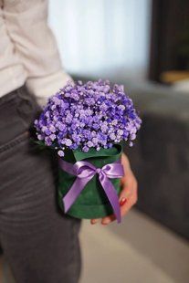 Гипсофила в коробке №6 4005 фото