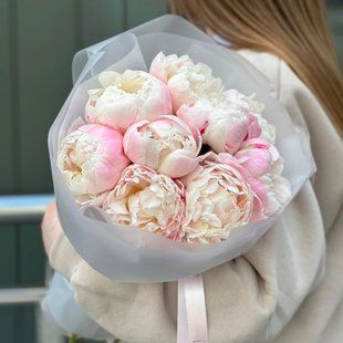 33027 фото
