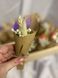 Mini bouquet of dried flowers with gypsophila №2