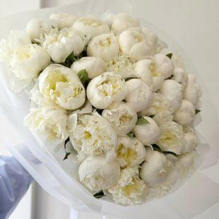 44089 фото