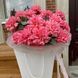 99095 фото 1
