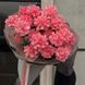 99095 фото 2