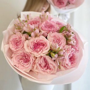 44098 фото