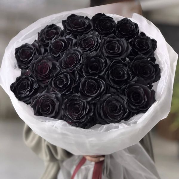 99317 фото
