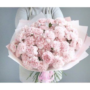 Bouquet of 51 soft pink carnations №660