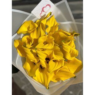 Yellow callas, 19 pcs. №25
