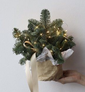 Новогодняя композиция с гирляндой №16 01113 фото