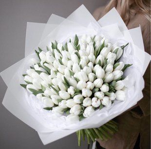 101 white tulips, white decoration №371