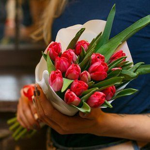 Bouquet of red tulips, 15 pcs. №372