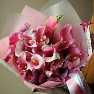 Pink callas, 17 pcs. №31