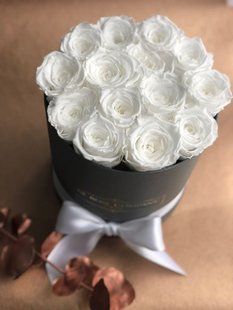 Stabilized roses in box №55