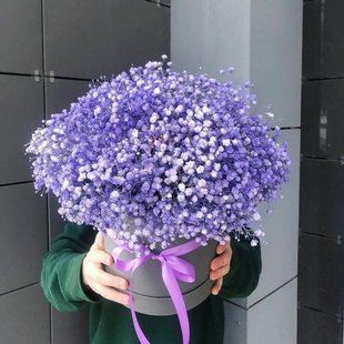 Гипсофила в коробке №4 4006 фото