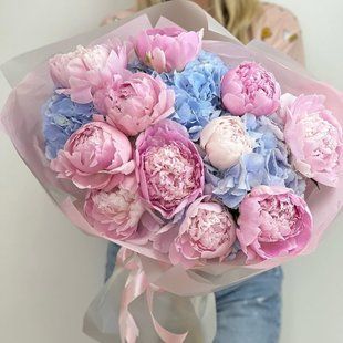 44062 фото