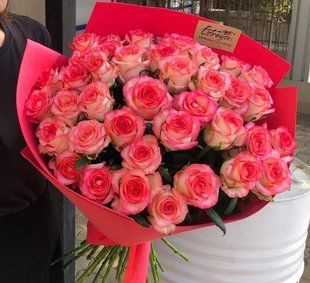 35 pink roses Jumilia №507
