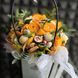 Dried fruit bag No. 37