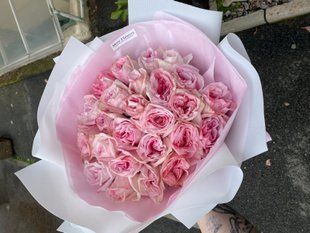 88381 фото