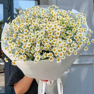Bouquet of daisies #39