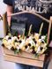 Cheese box №25