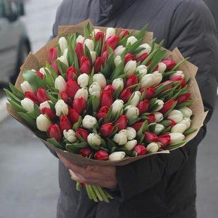 Bouquet of 101 red and white tulips №351
