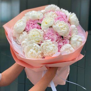 33024 фото