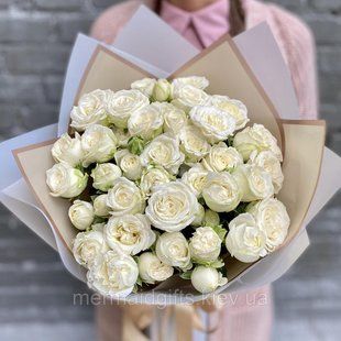 Peony roses "Miss Bombastic", 15 pcs №553