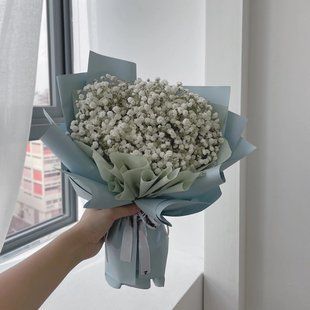 88026 фото