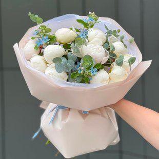 33026 фото