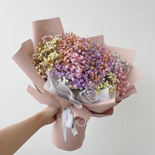 88027 фото